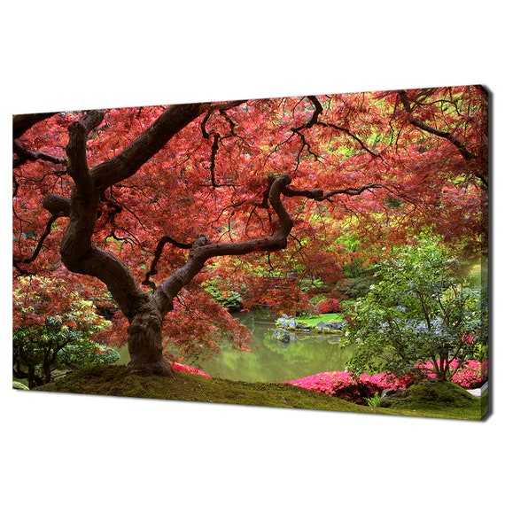Japanese Garden Maple Tree Modern Design Art Print