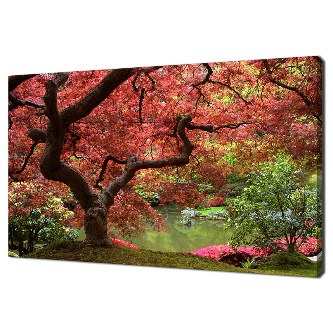 Japanese Garden Maple Tree Modern Design Art Print