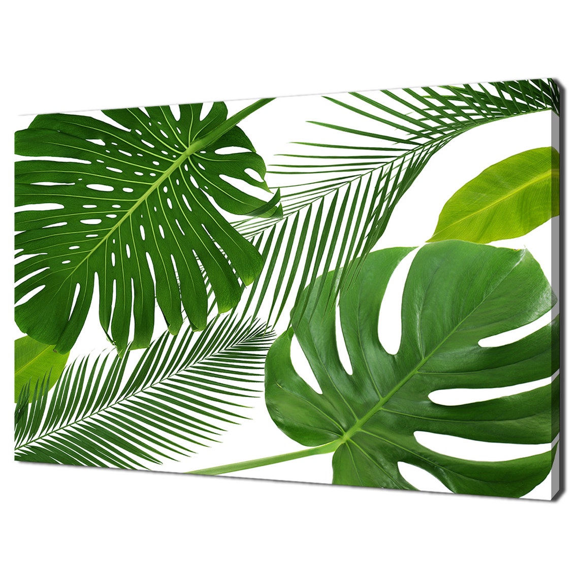 Monstera Palm Tropical Leaves On White Minimalist Botanical Wall Art