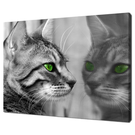 Grey Tabby Cat With Green Eyes Mirror Reflection Black White Photo Wall Print