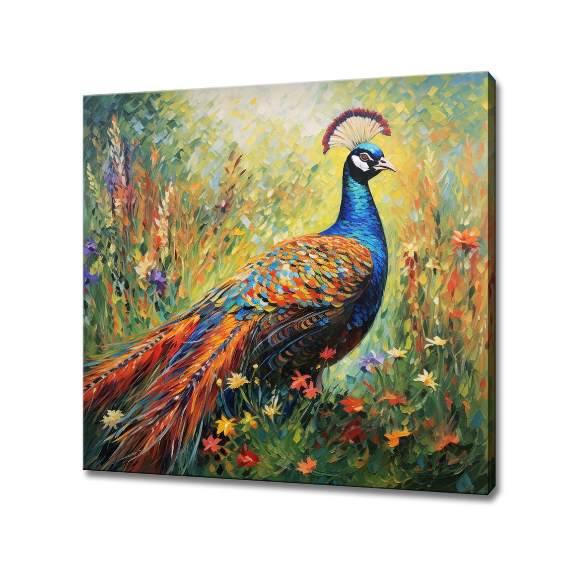 Vibrant Peacock With Iridescent Tail in Wildflower Meadow Poster