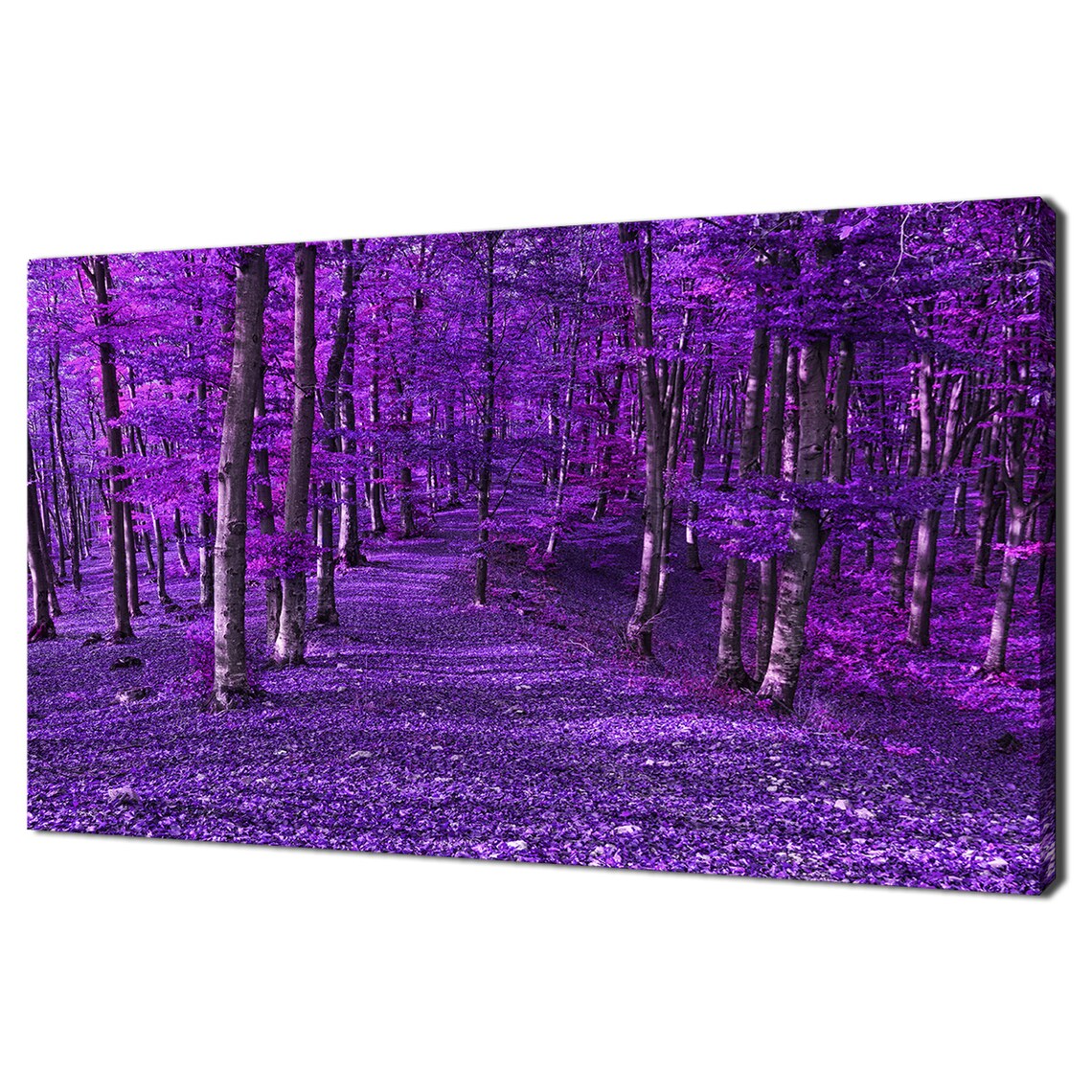 Purple Forest Trees Landscape Modern Design Home Decor Print Wall Art Picture