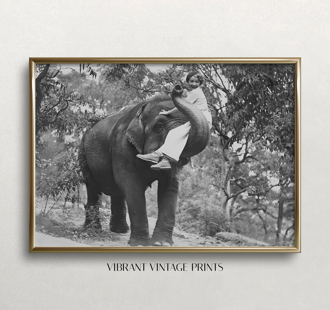 Playful Woman Riding Elephant Vintage Black And White Photo Poster