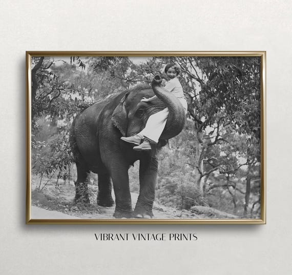 Elephant Wall Art Black And White Art Elephant Carrying Woman Vintage Wall Art Funny Wall Art Wall Art