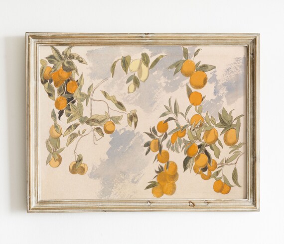 Vintage Oranges, Farmhouse Kitchen Citrus Art Print