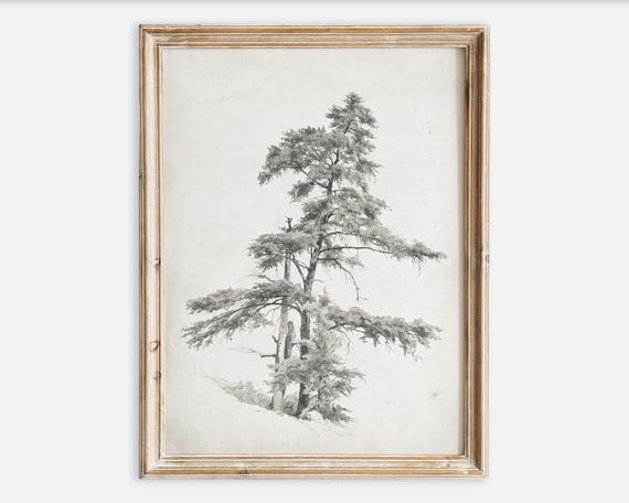 Vintage European Rustic Neutral Trees Pencil Sketch Drawing Wall Art Print Minimalist Tree Poster Antique Moody Landscape Decor Vp185
