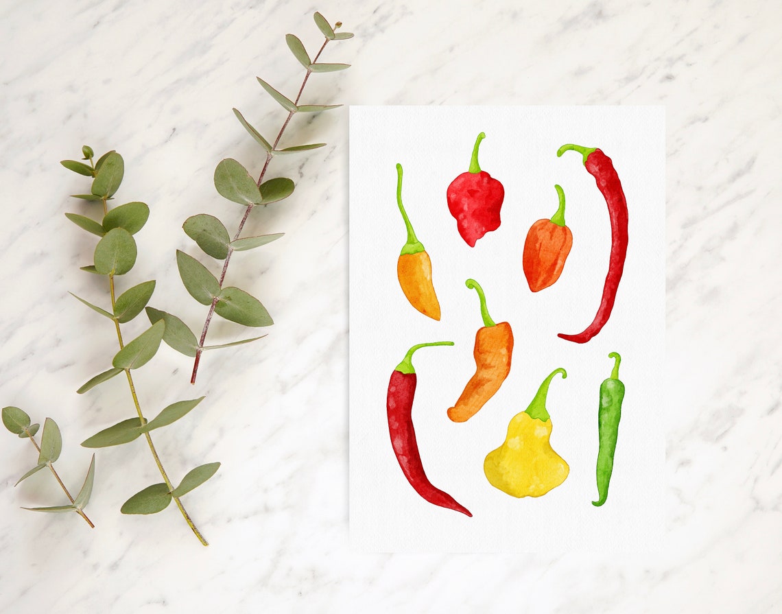 Watercolor Chili Peppers Kitchen Botanical Kitchen Decor Print - Image 2