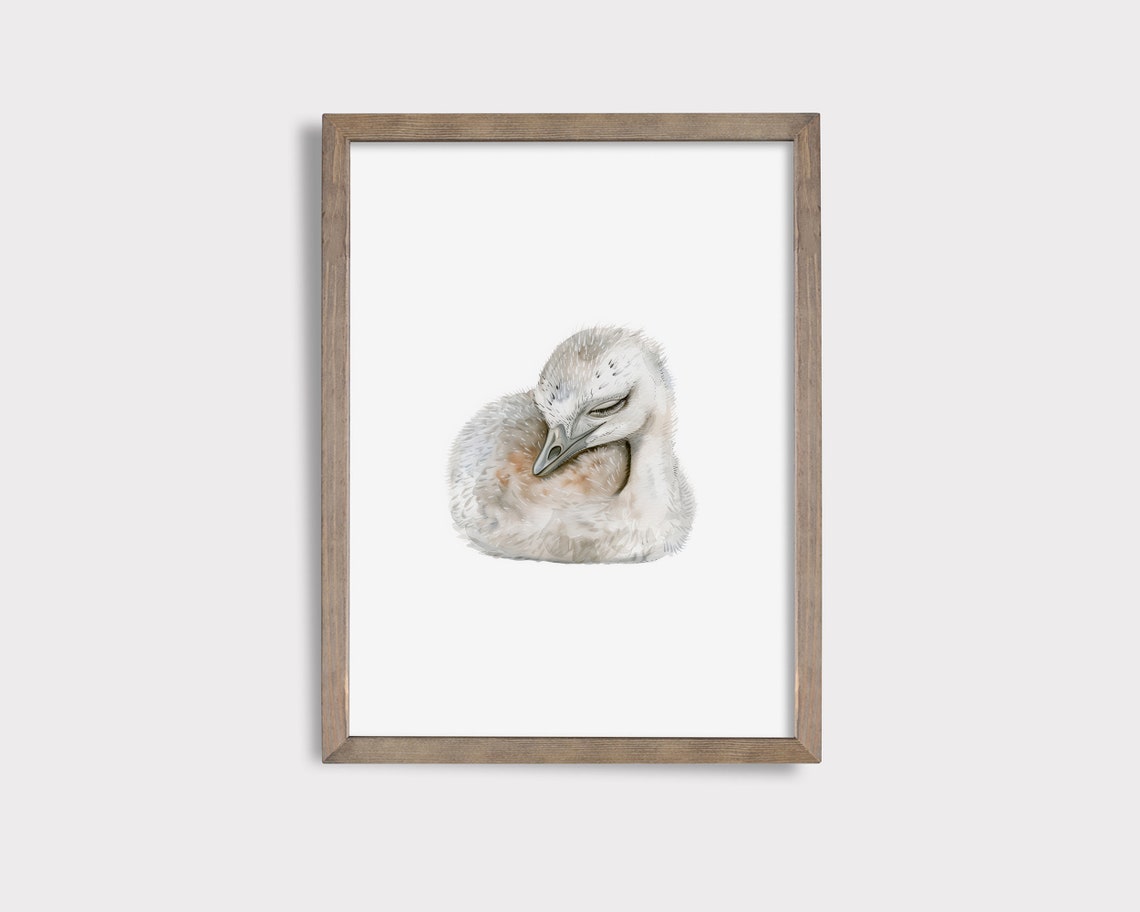 Sleeping Emu Print Emu Wall Art Australian Nursery Art Aussie Nursery Decor Cute Sleeping Animal Print Australian Animal Print