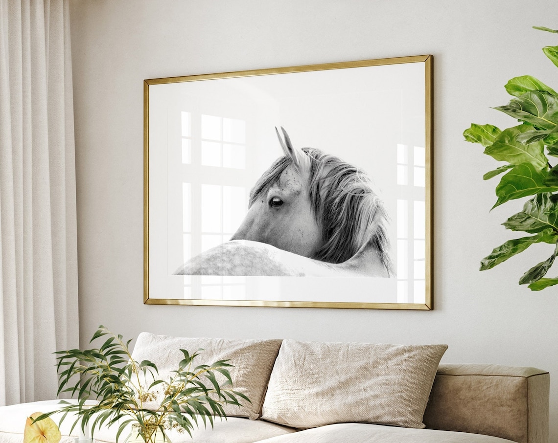 Black And White Horse Photography Art Print