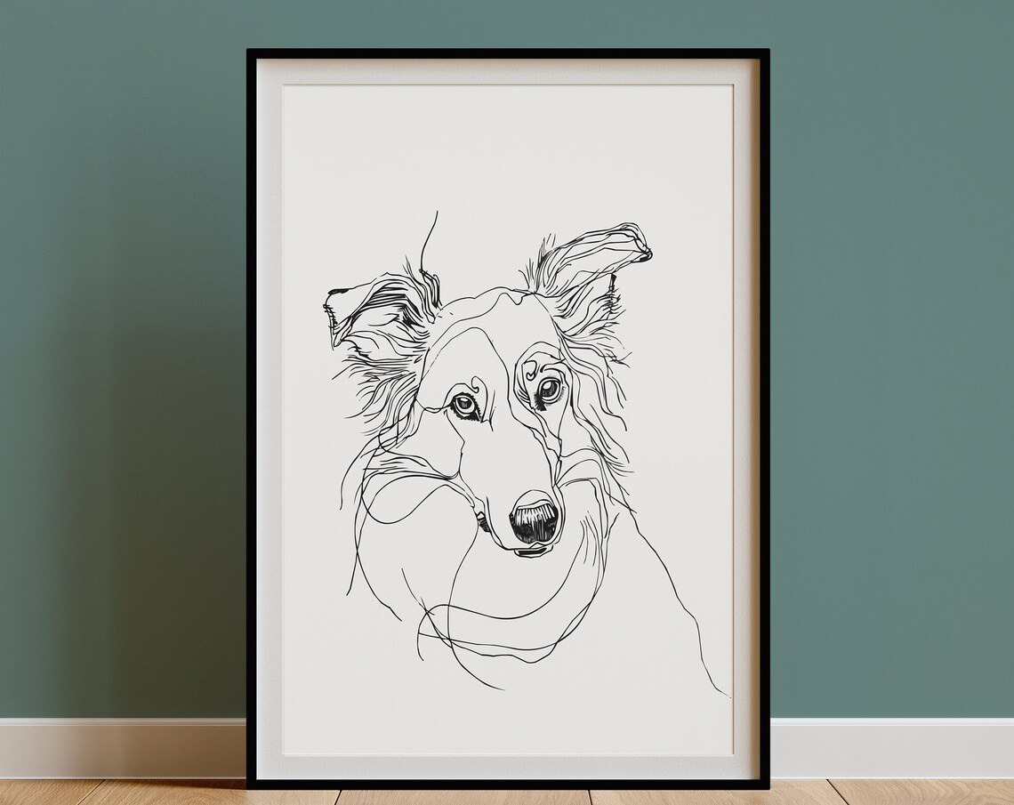 Rough Collie Head Noble Flowing Sketch Line Art Portrait Poster