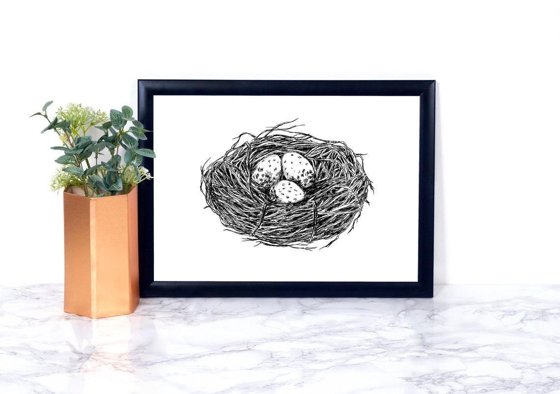 Bird Nest With Three Speckled Eggs Black and White Sketch Poster