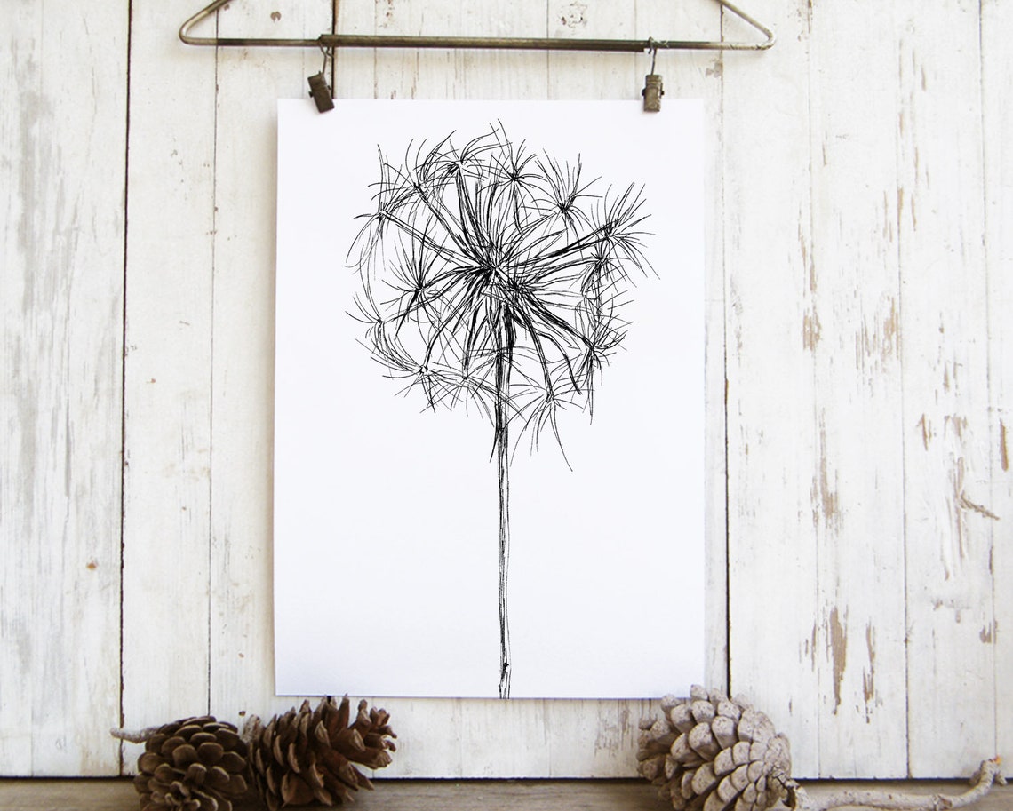 Dandelion Seed Head Black White Botanical Line Sketch Art Print - Image 2