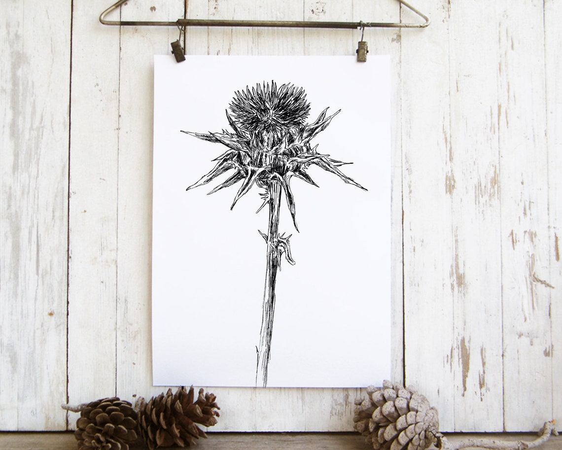 Thistle Flower Head Black White Botanical Ink Sketch Art Print - Image 2