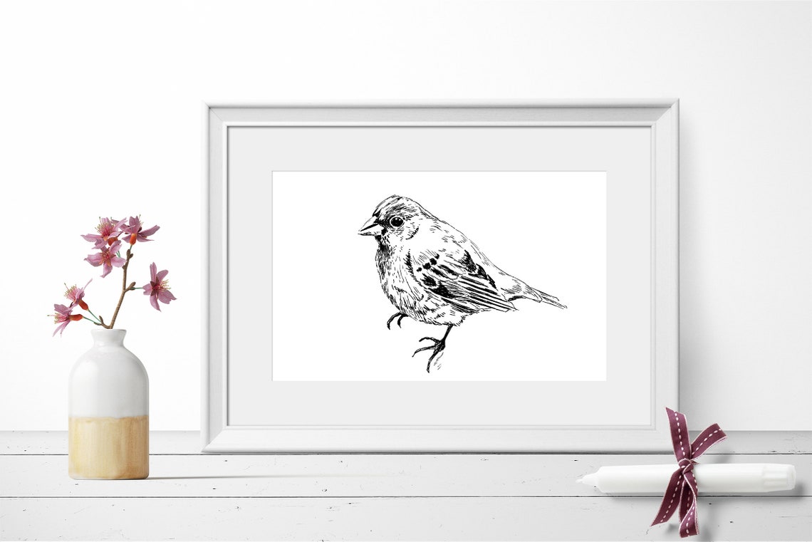 Sparrow Bird Ink Sketch Black White Garden Songbird Line Print