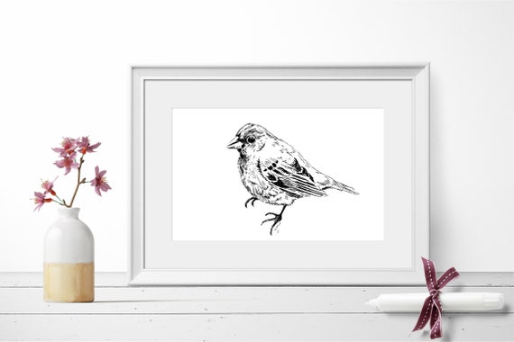 Art Poster Unique Wall Dcor Nursery Prints Animal Prints For Framing Animal Nature Prints Bird Sparrow