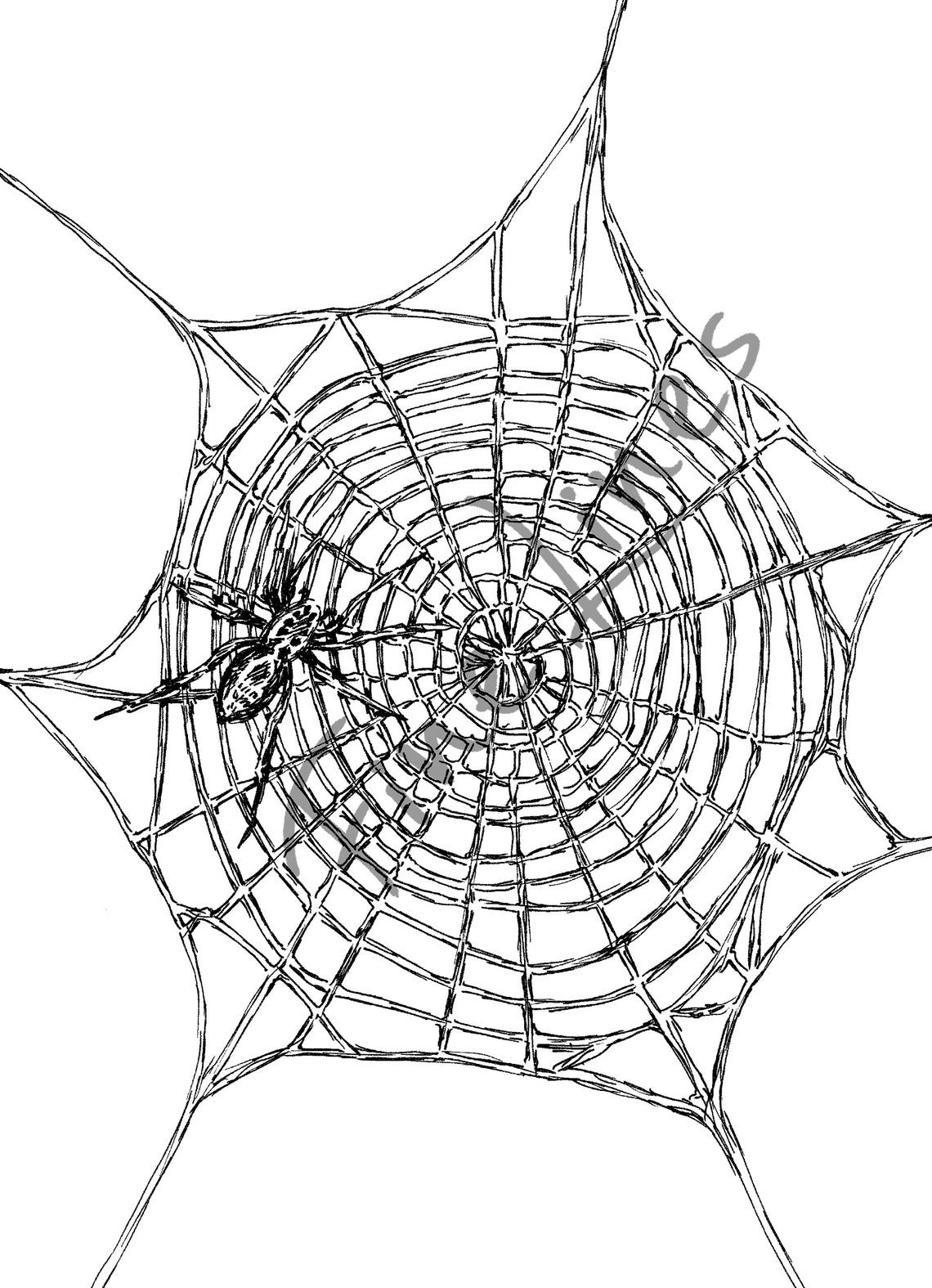 Spider Web Cobweb Ink Drawing Halloween Spooky Decor Wall Art - Image 2