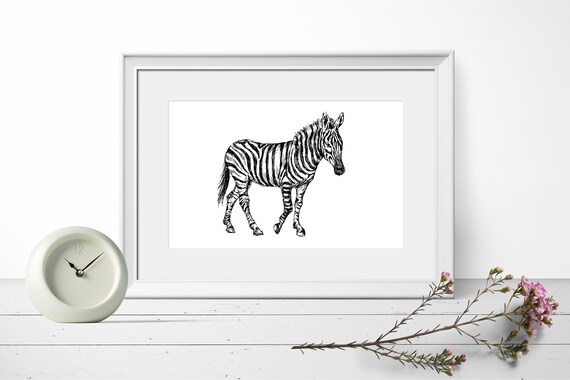 Zebra Standing Black White Ink Sketch Safari Animal Art Print