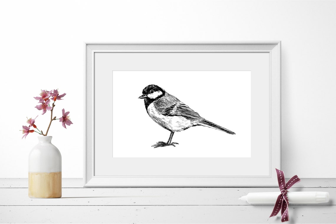Chickadee Songbird Perched Front View Black White Sketch Poster
