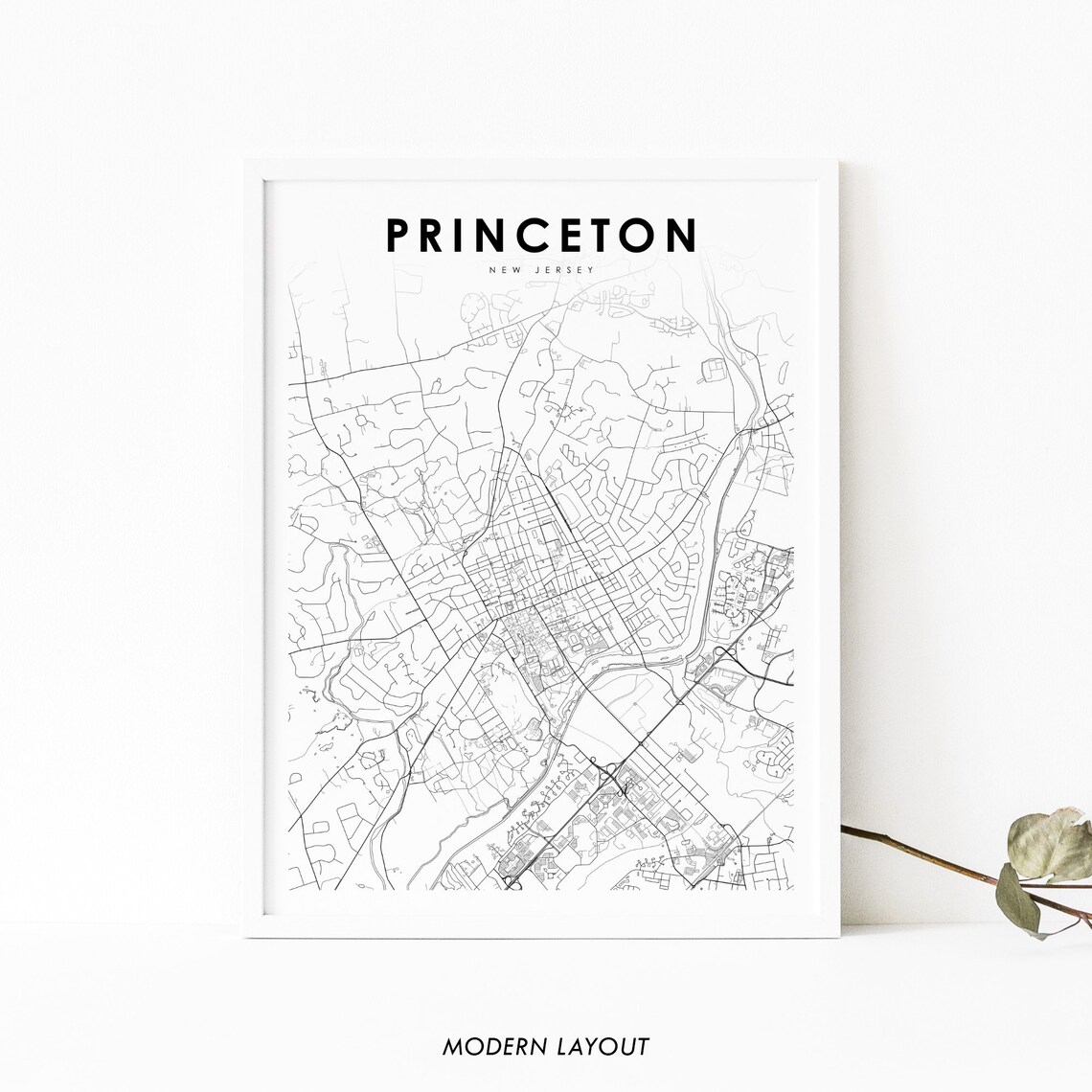 Princeton NJ Map Print, New Jersey Street Poster