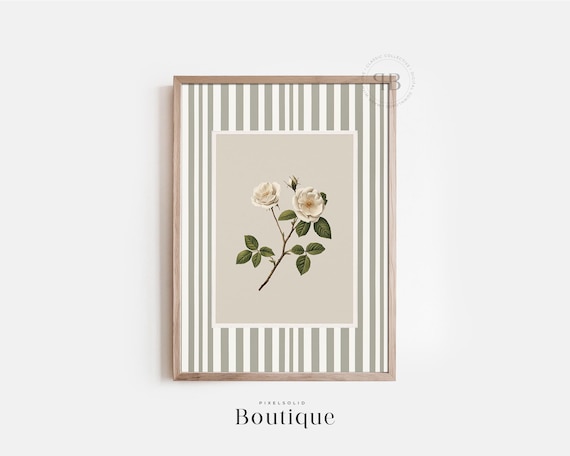 White Rose Botanical Wall Art Stripe Border Decor Floral Illustration Vintage Style Artwork No635