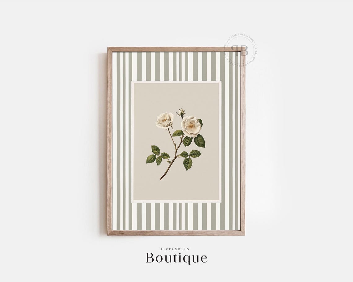White Rose Botanical Vintage Illustration Sage Green Stripe Wall Art