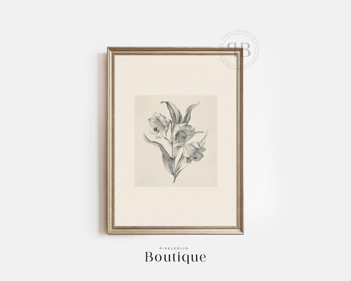 Lily Flower Illustration Wall Art Floral Botanical Print In Vintage Style No623