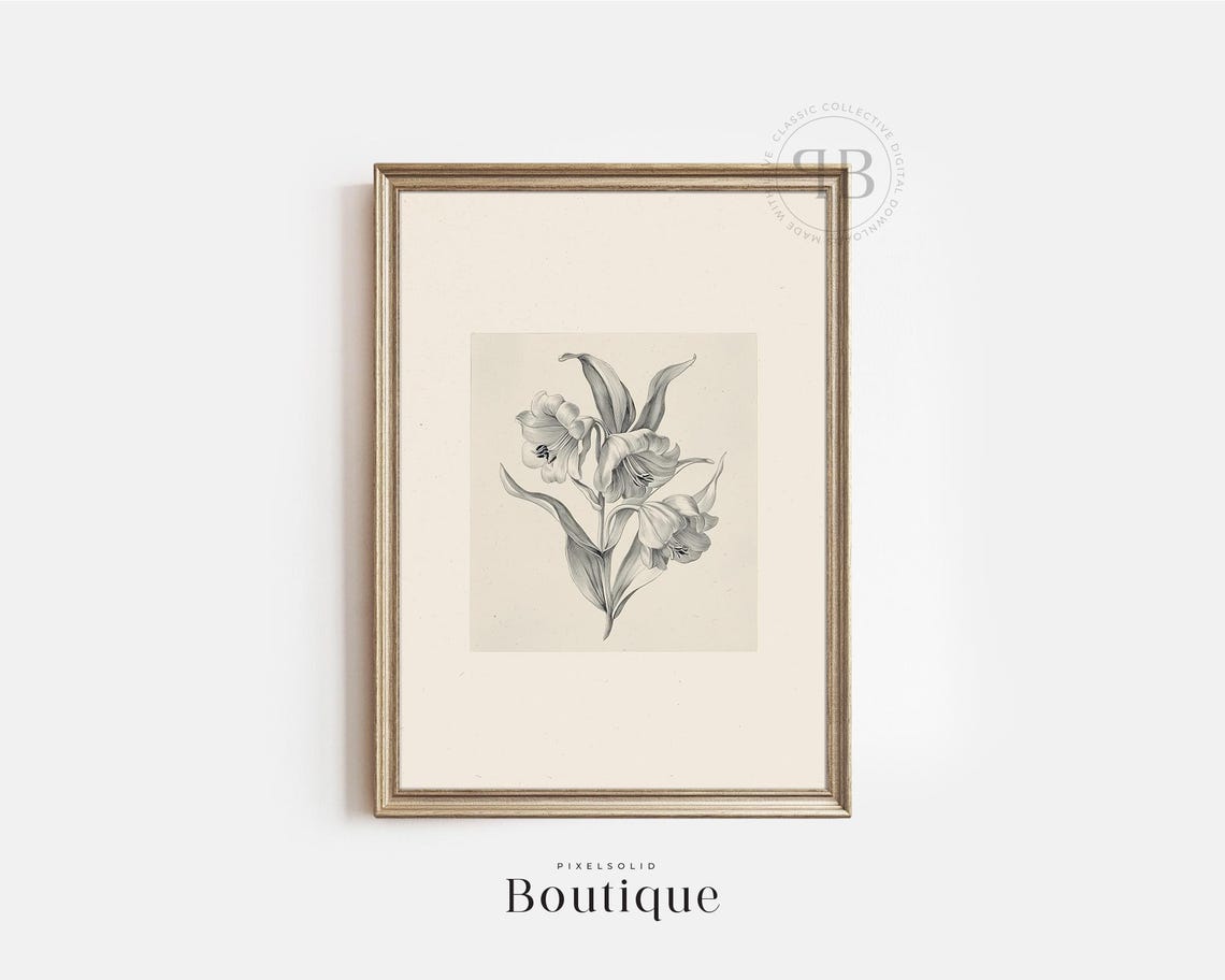 Vintage Lily Flower Botanical Illustration Monochrome Fine Art Print
