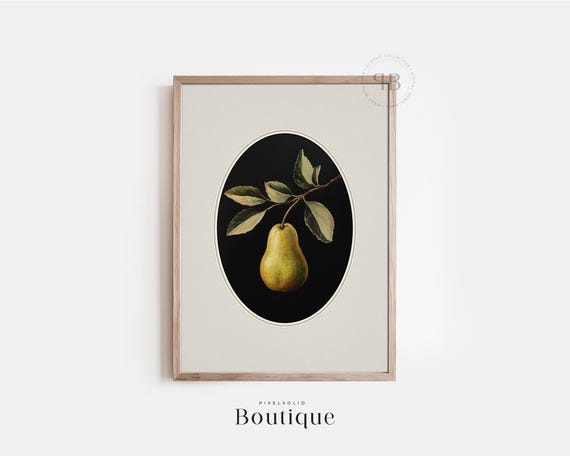 Pear Botanical Print Vintage Style Still Life Wall Art Dark Academia Fruit Illustration Kitchen Dining Decor No670