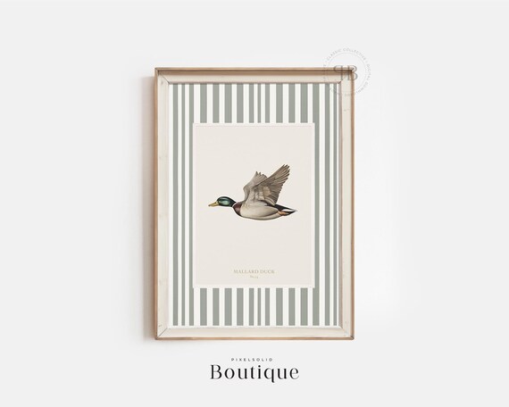 Mallard Duck Vintage Style Illustration Antique Bird Print Naturalist Wildlife Wall Art Rustic Country Decor No693