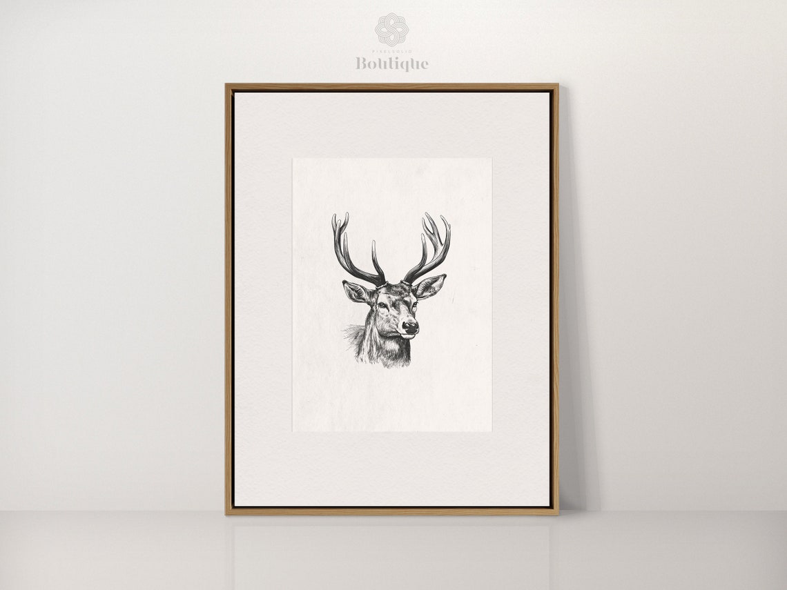 Stag Deer Head With Antlers Vintage Black And White Etching Art Poster