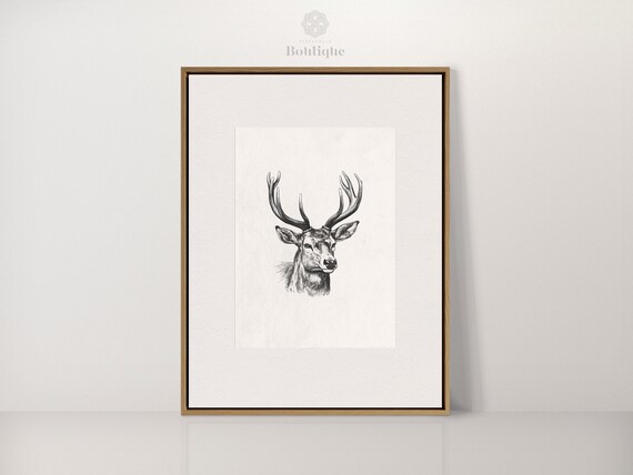 Stag Deer Head With Antlers Vintage Black And White Etching Art Poster