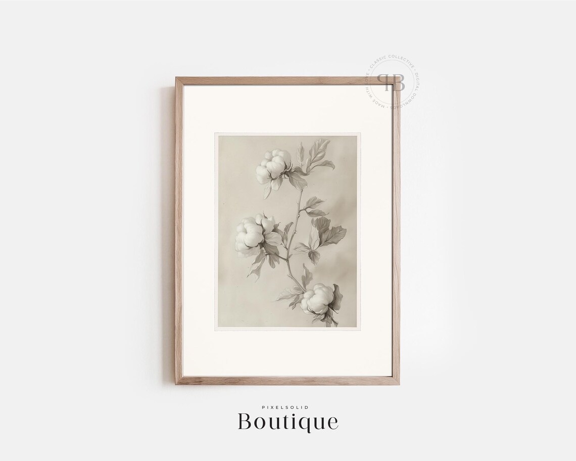 Vintage Cotton Plant Botanical Illustration Farmhouse Fine Art Print