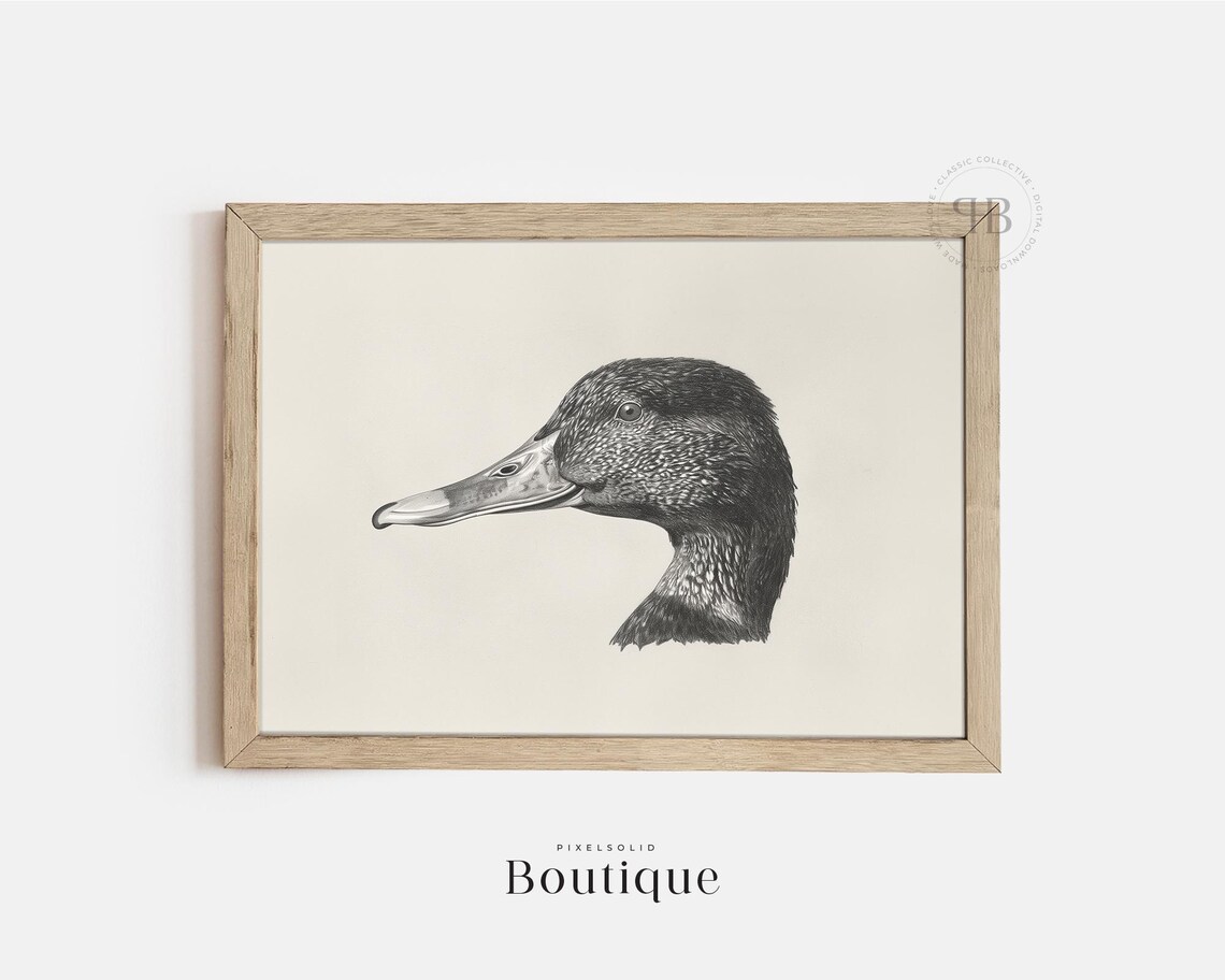 Mallard Duck Sketch Neutral Bird Art Print