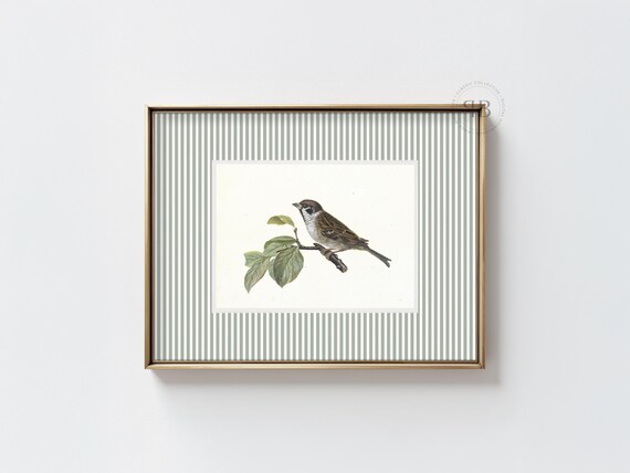 Sparrow Bird Illustration Print Nature Wall Art Rustic Decor Natural Home Style Vintage No819