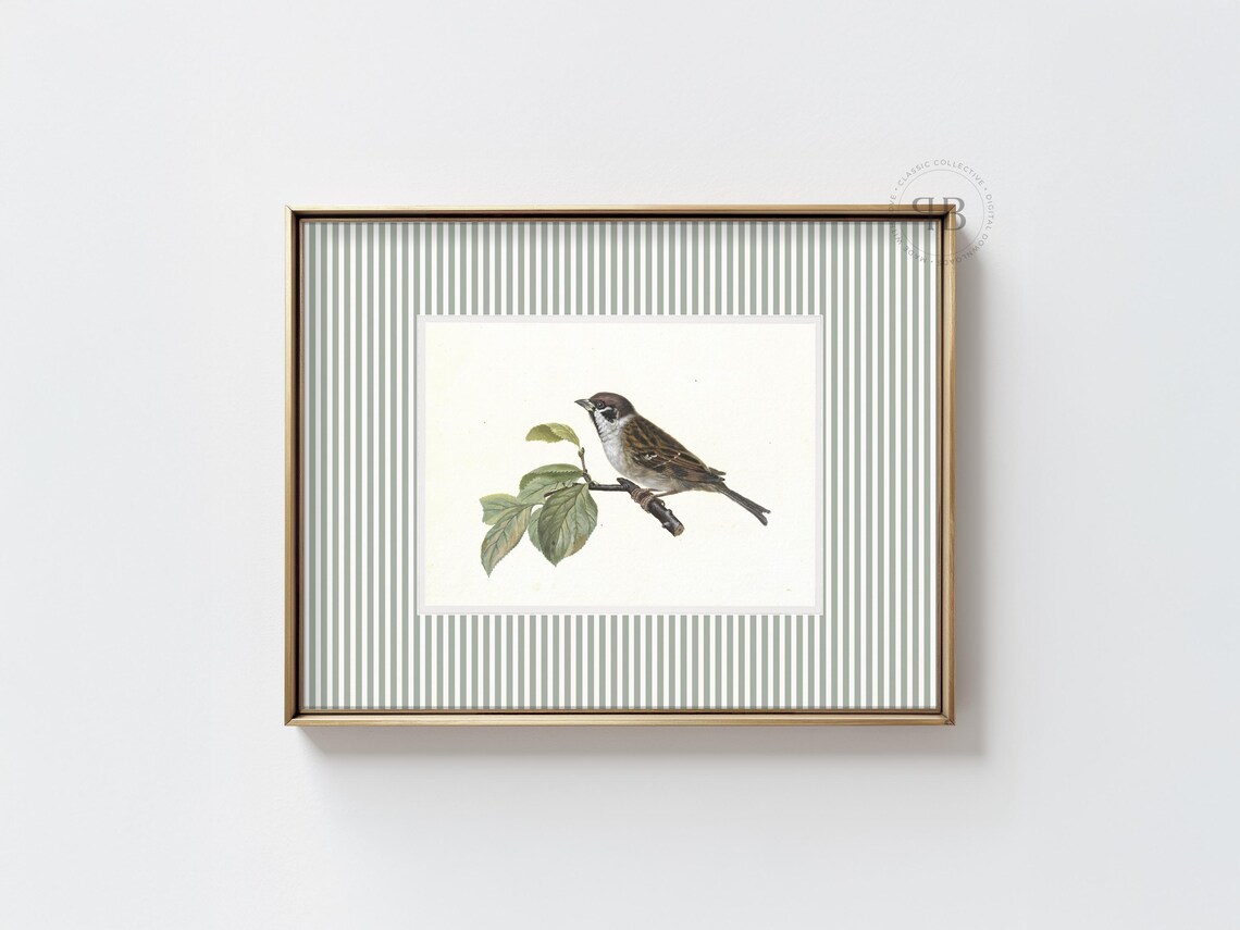 Sparrow Bird Illustration Print Nature Wall Art Rustic Decor Natural Home Style Vintage No819