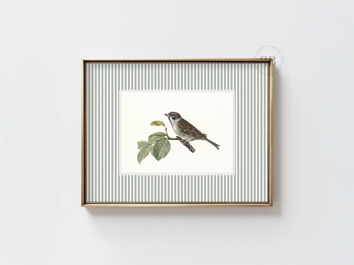 Vintage Sparrow On Branch Naturalist Bird Illustration Poster