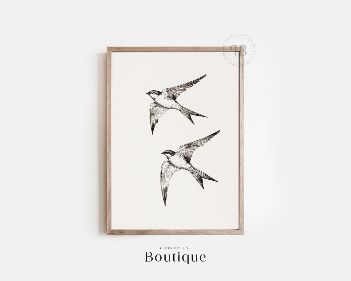 Two Flying Swallows Vintage Black White Bird Illustration Poster