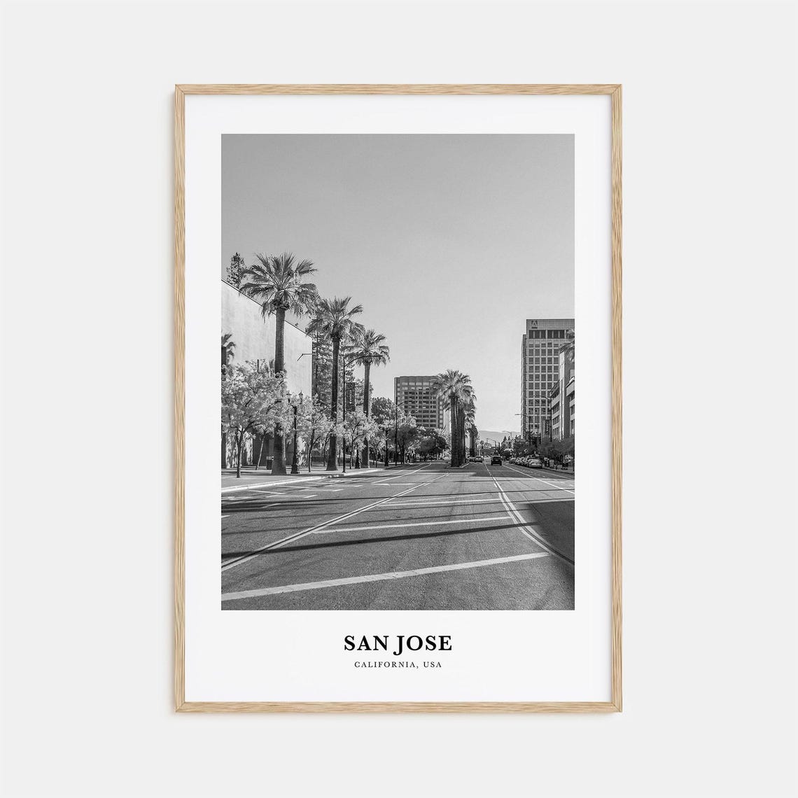 San Jose California Palm Tree Boulevard Black and White Poster