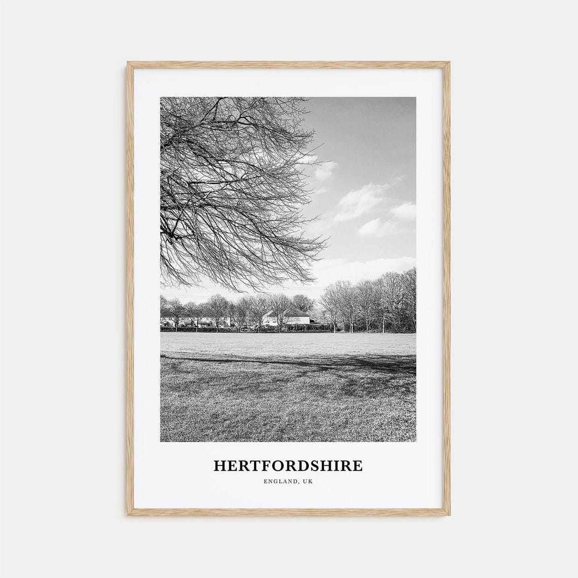 Hertfordshire England Parkland Winter Trees Black and White Poster
