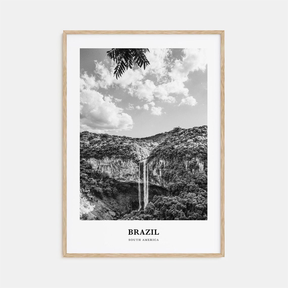 Brazil Waterfall Canyon Tropical Forest Black and White Poster