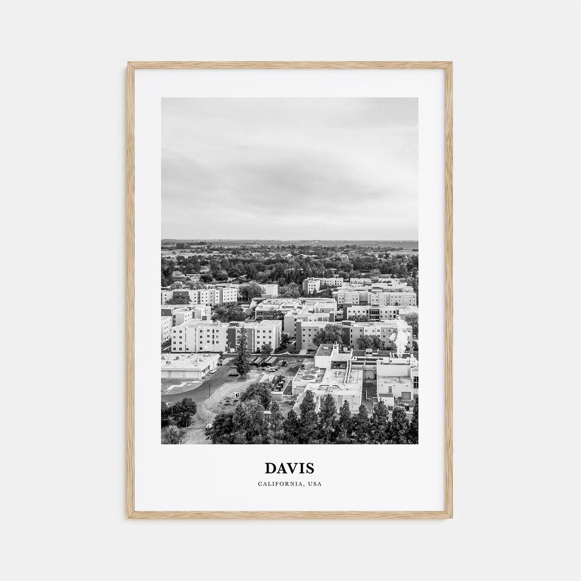 Davis California University Town Aerial Skyline View Photo Poster