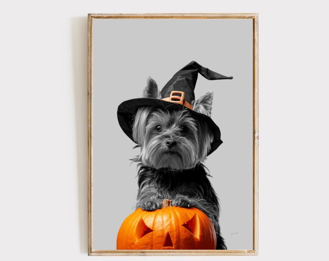 Halloween Yorkshire Terrier in Witch Hat on Pumpkin Spooky Wall Art
