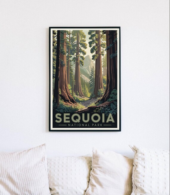Sequoia National Park Towering Redwoods Forest Trail Travel Poster