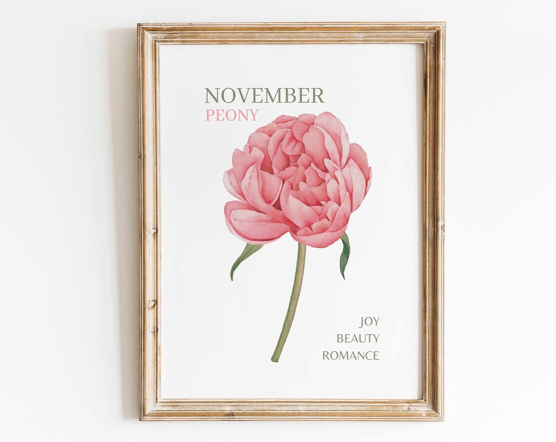 Pink Peony Watercolor Art Print, Minimalist Floral