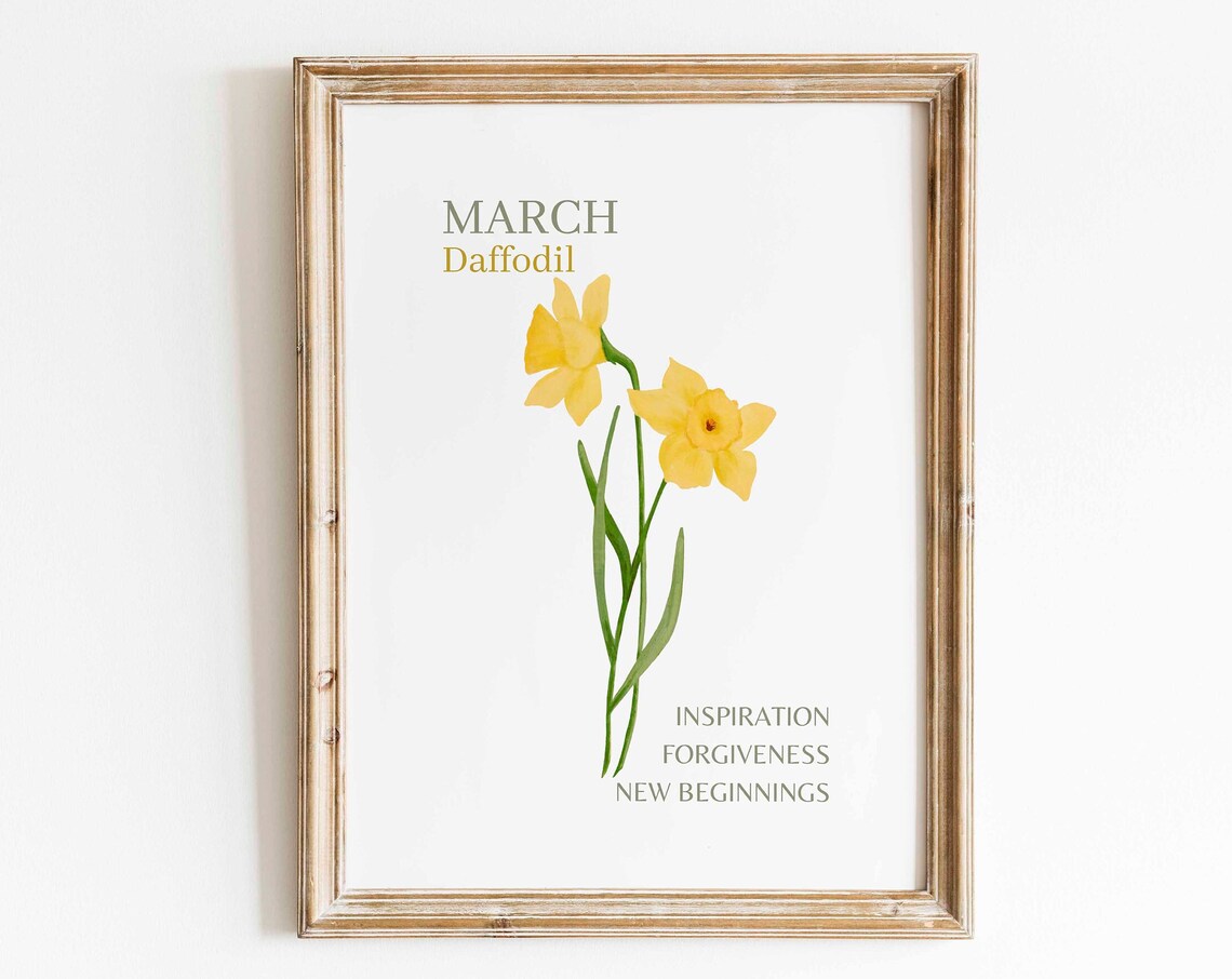 Yellow Daffodil Watercolor Art Print, Minimalist Floral