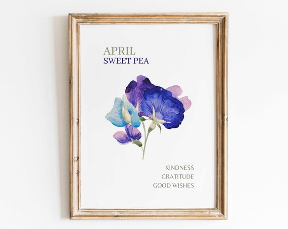 April Sweet Pea Watercolor Art Print, Botanical Minimalist