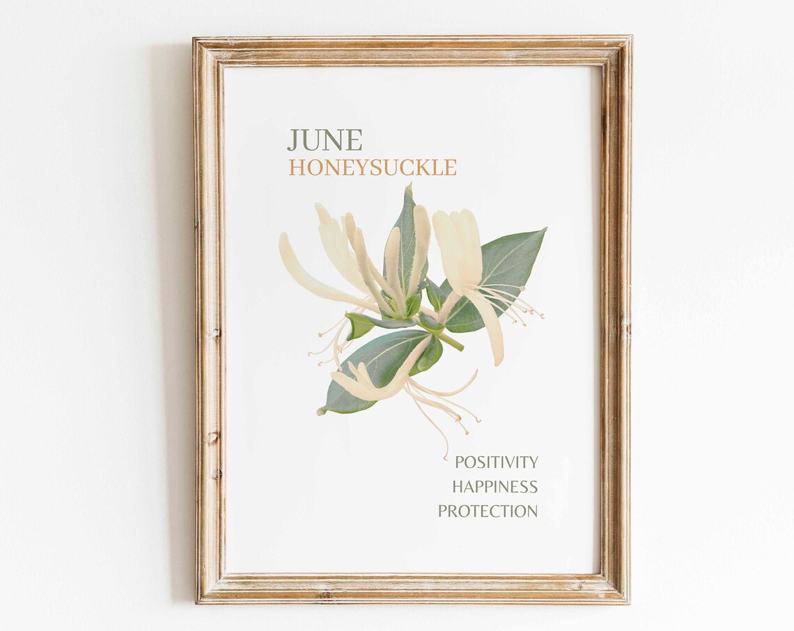 June Birth Flower Honeysuckle Watercolor Art Print