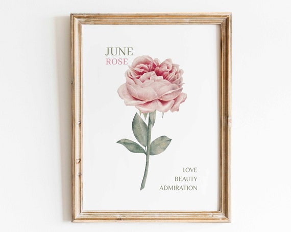 Pink Rose Watercolor Art Print, Minimalist Floral