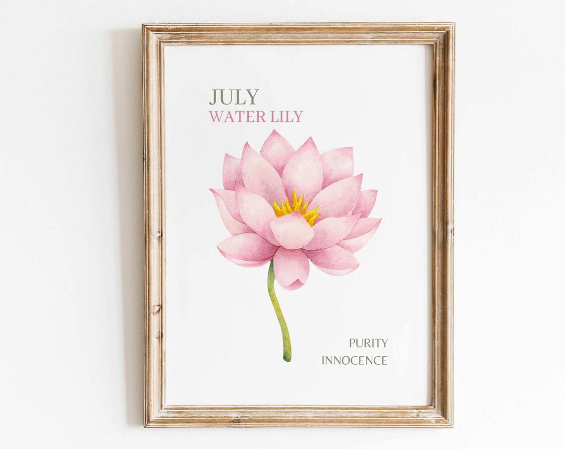July Water Lily Watercolor Art Print, Floral Minimalist