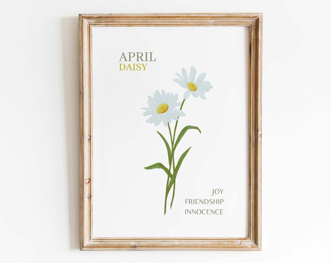 Daisy Watercolor Art Print, April Birth Flower